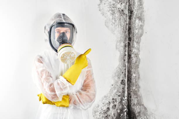 Best Mold Prevention Services  in Dayton, NJ